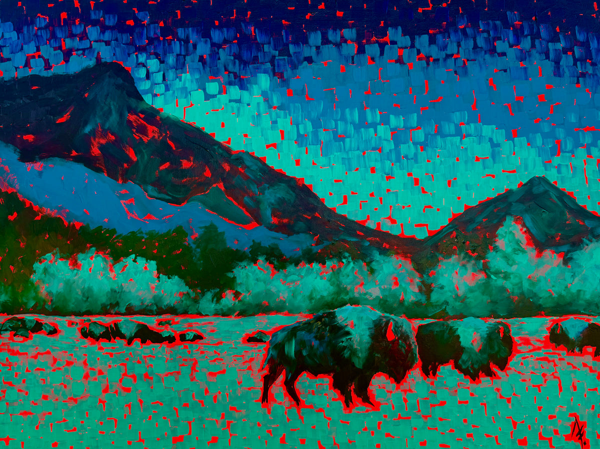 Where the Bison Roam Free
